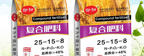 ������͏�(f��)�Ϸ���25-14-6-���(y��ng)_02