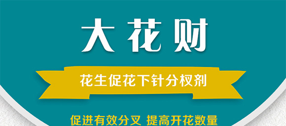 �����ٻ���ᘷ�辄�-��ؔ(c��i)-�G������_01