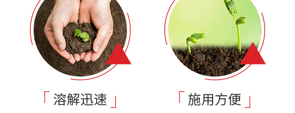 ������͏�(f��)�Ϸ���25-14-6-���(y��ng)_08