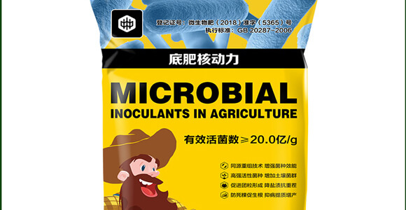 ���ʡ��˄���-��ֲ(li��n)��_02