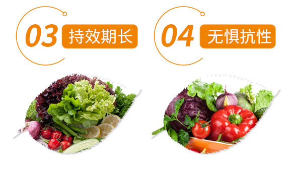 ���E-����֮��_09