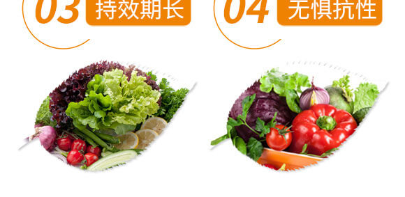 5%��x(ch��ng)��+20%߻�x(ch��ng)��-��������-����֮��_08