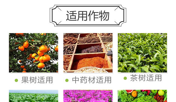 ���ӹ���̿��ø-������-���S���@_08