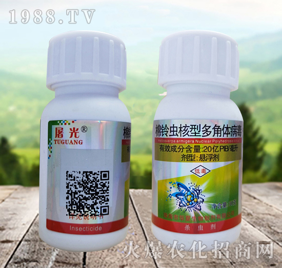 ����x���Ͷ���w������ʲô�x��Ч����ô�ӣ���ô�x��