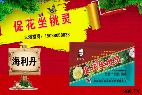 ���؃r(ji��)��