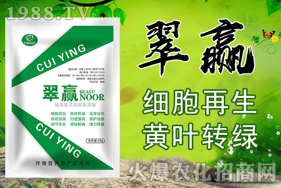 �Ҙ�(sh��)��޽Ӽ���