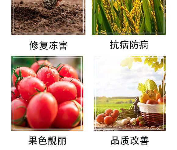 ���ӹ���̿��ø-������-���S���@_05