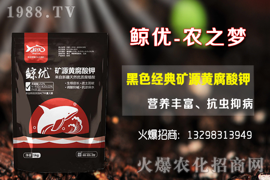 �����ķNֲ�ܶ���������Ʒ�N�x�񼰷Nֲ������