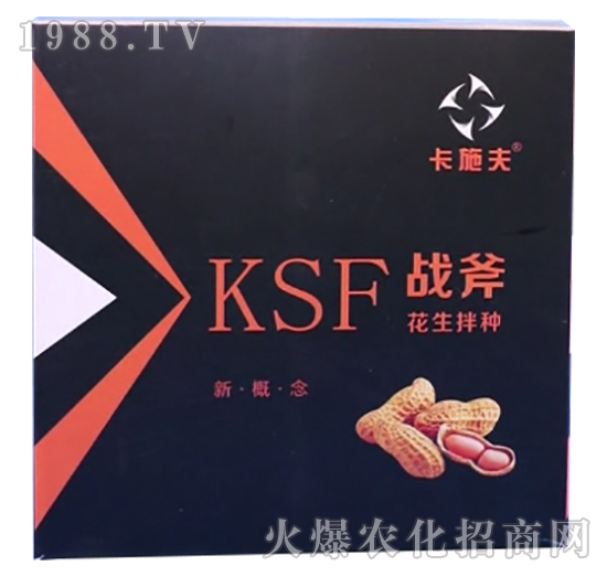 ������N����Щ��̎��������N��ʲô��N����