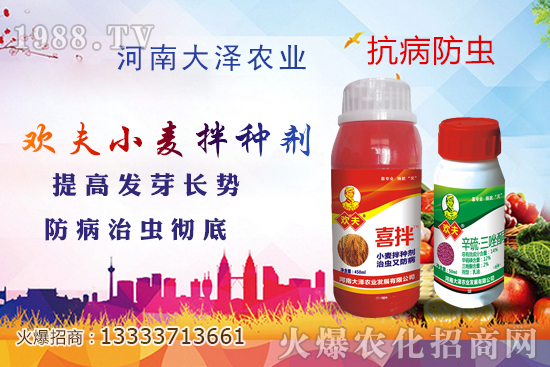 С����N����Ҋ��������Щ������x��С����N����