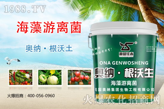 ���ӱ��W�{����Ʒ���u��������������o����ע��I(y��ng)�B(y��ng)�·�����