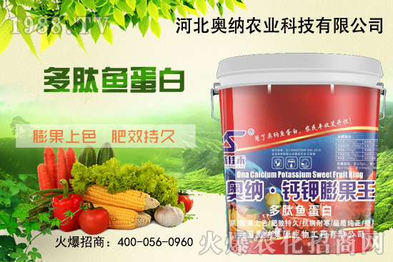 ���ӱ��W�{����Ʒ���u��������������o����ע��I(y��ng)�B(y��ng)�·�����