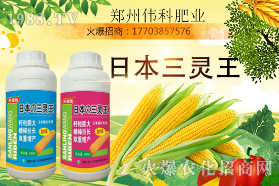 ���׿����״κ������׿����r�g�����׿����a(ch��n)Ʒ�x����