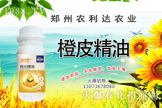 ��Ƥ�������˽��������Ƥ������ʲô��������ô�x��Ƥ������