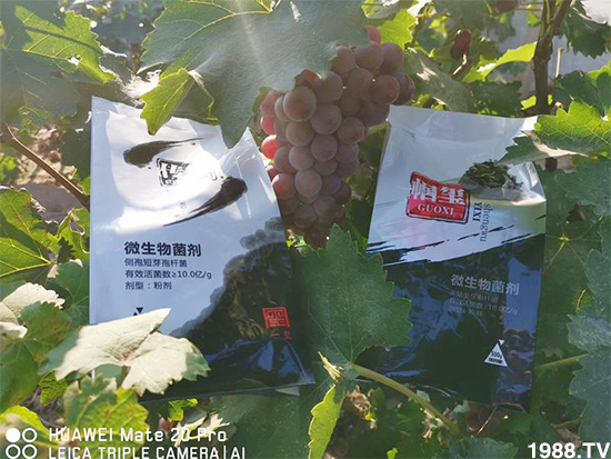 �îa(ch��n)Ʒ�����ã���һ�t���΢������������t���͑��挍������