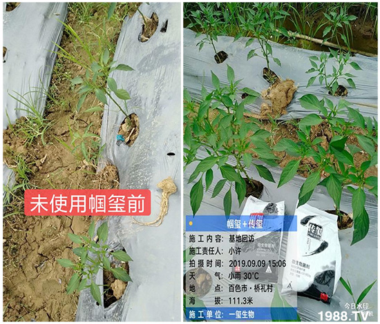 �îa(ch��n)Ʒ�����ã���һ�t���΢������������t���͑��挍������