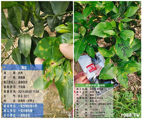 �îa(ch��n)Ʒ�����ã���һ�t���΢������������t���͑��挍������