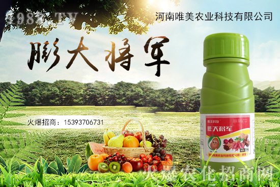 ����(sh��)�����������(sh��)С��ô��Q������(sh��)����ʵ��x������Щ��