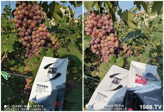 �îa(ch��n)Ʒ�����ã���һ�t���΢������������t���͑��挍������