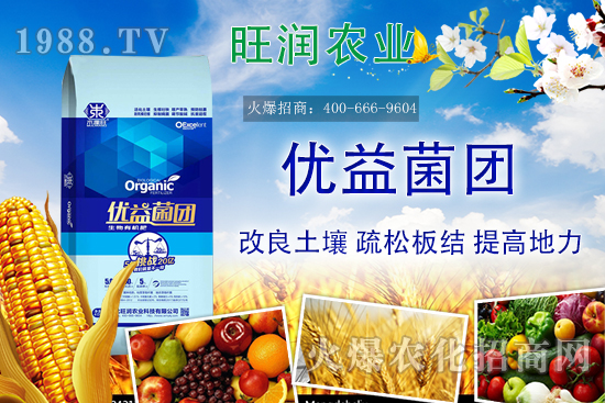 �����ЙC(j��)����ʲô�ʣ������ЙC(j��)�ʵă�(y��u)��(sh��)���c�������ϵą^(q��)�e��