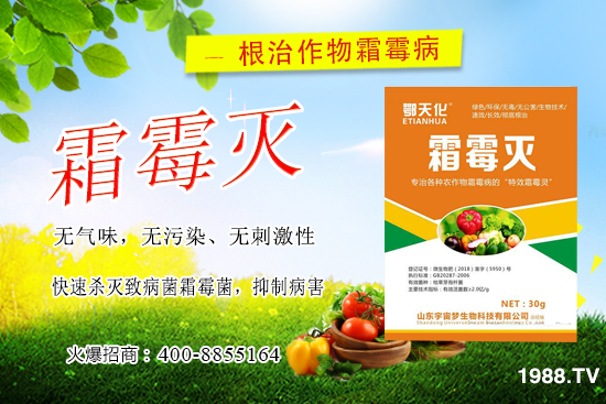 �S��˪ù����(y��n)����ô�k�����������S��˪ù����