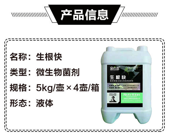 �ߝ�s�ͺ�΢�������EM��-������-����_03