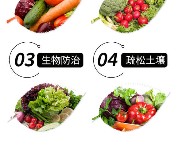 �ߝ�s�ͺ�΢�������EM��-������-����_05