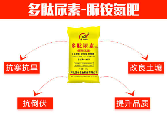 ��������-���@����-����_02