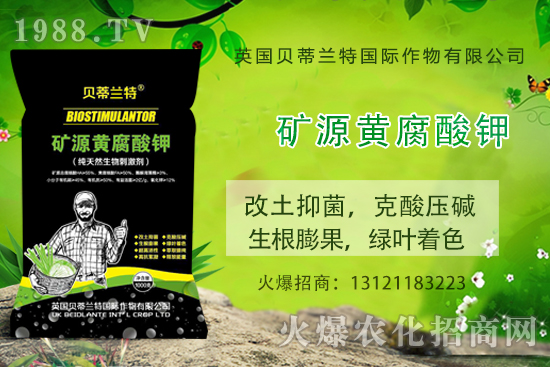 ���ÿ���ô�B(y��ng)�����ÿ��B(y��ng)ֳ������ע�����(xi��ng)��