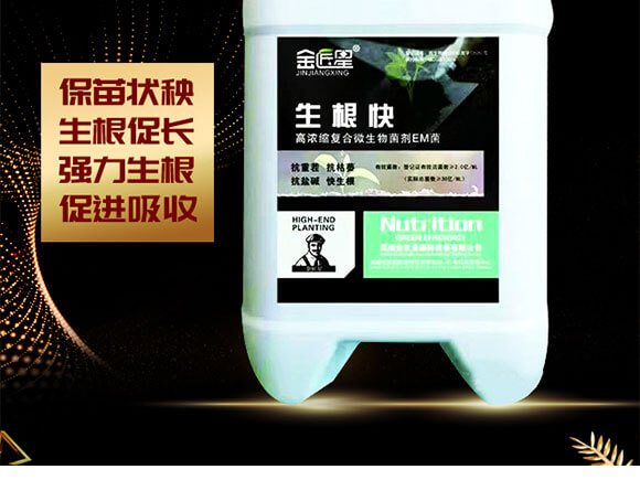 �ߝ�s�ͺ�΢�������EM��-������-����_02