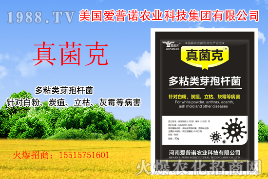 ���������Z��ʲô��(y��u)�������������Z�a(ch��n)Ʒ����Щ��