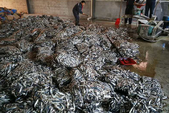 �~����ԭ�Ϲ�����