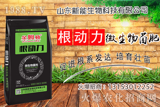 ����������ʲô�ʣ�ʹ�á�΢������ʡ���ʲô��(y��u)��(sh��)��