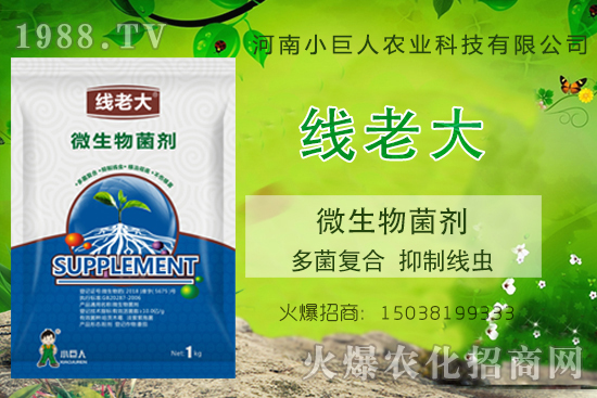 ���Y(ji��)���xզ���������Y(ji��)���x����-�����ϴ󡱶����(f��)�������ƾ��x��