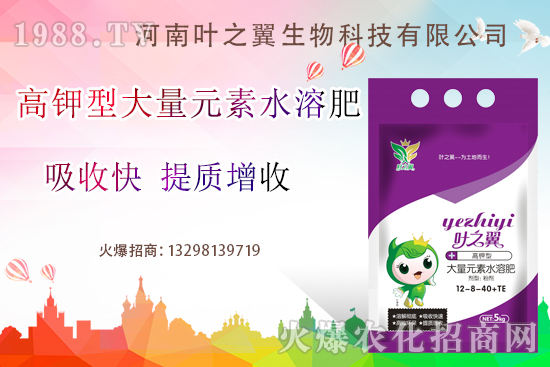 �����������ƽ����ˮ�ܷ���ʲô��������ô�x��Ų����e��