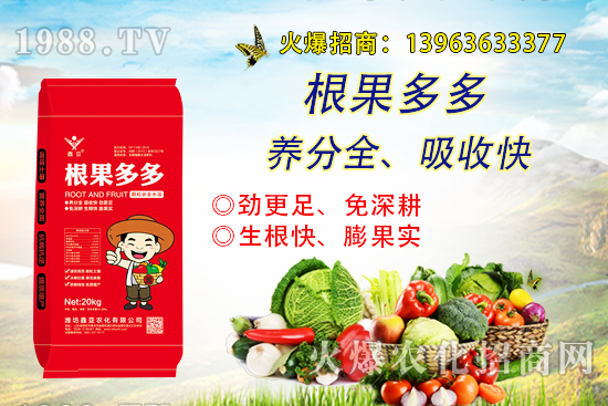 �����������������ô�k����������ࡱ����̽������(sh��)����������B��