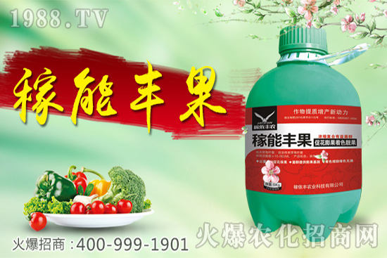 �S�ϸ߮a(ch��n)