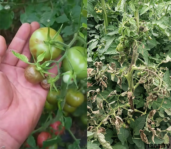 ����������ΰl(f��)�������Л]�кõķ��δ�ʩ�������@�ׂ�����߀�оȣ�