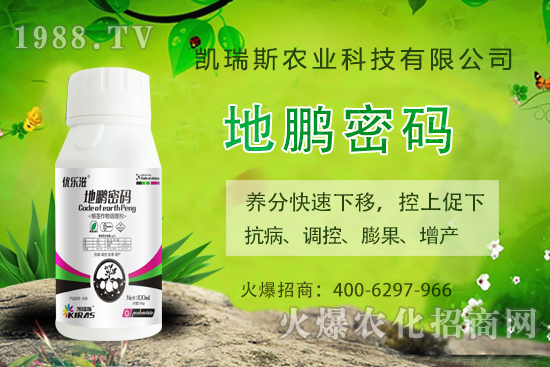 �P��˹�r(n��ng)�I(y��)��ô�����P��˹�r(n��ng)�I(y��)����a(ch��n)Ʒ����Щ��