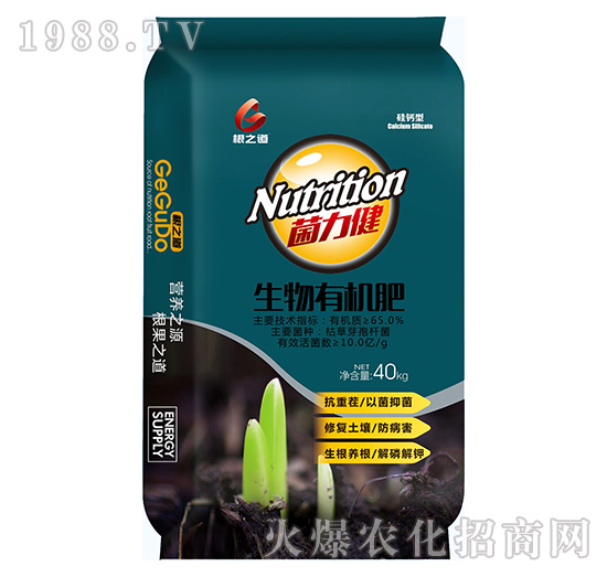 Ҫ�����������ϵ����Ҫ���۹��֮����ô��������Щ����a(ch��n)Ʒ��