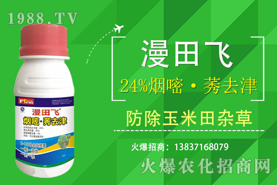 24%���ס�ݬȥ�����Ч���Æ���24%���ס�ݬȥ����ʲô���c(di��n)��