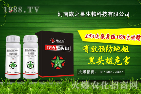 ������֮����ô����������֮�ǚ����a(ch��n)Ʒ����Щ��