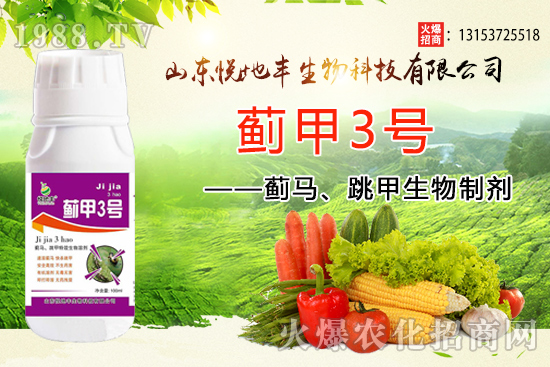 �E�R�����׷����͏�̫�y�����E�R�����������Ƅ��p�ط��β��ó���