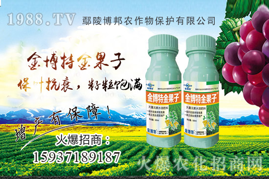 ������˥�p�a(ch��n)��(y��n)��ԓզ�k��������˥ԭ�����Nֲ����α�����