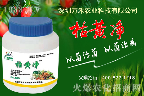 枯黃凈能防治哪些病害?枯黃凈適用作物及使用方法!