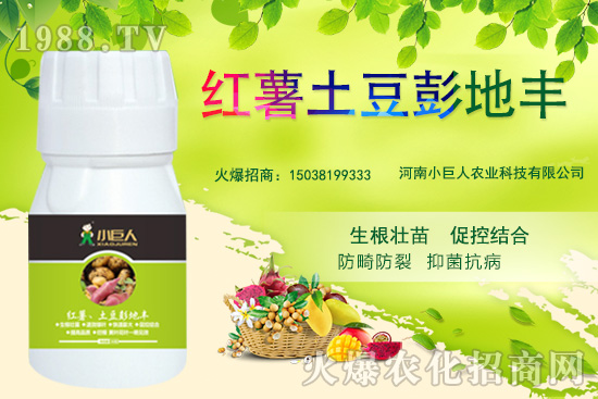 ����С������ô������˾��ʲô��(y��u)��(sh��)�����Ʈa(ch��n)Ʒ����Щ��