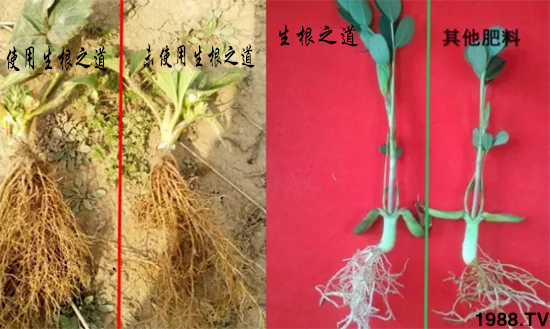 �����ϵ�����a(ch��n)������������֮���������¸����������a(ch��n)�o�n��