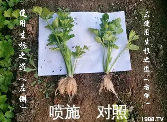 �����ϵ��a(ch��n)������������֮���������¸����������a(ch��n)�o�n��