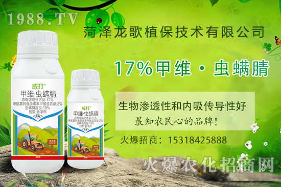 �׾S���x����