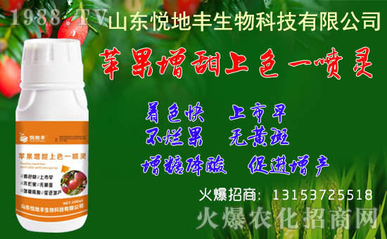 �O������